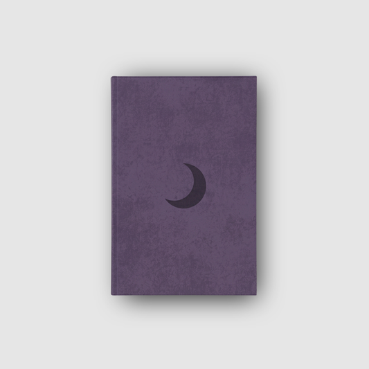 Nightly Reflection Notebook